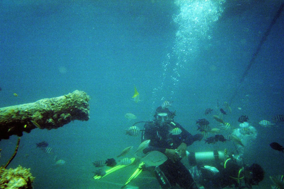 Helmet diving provides a great opportunity to get close to tropical fish