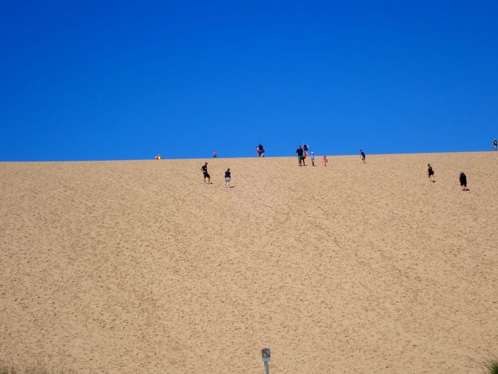 The iconic Dune Climb in Sleeping Bear Dunes National Lakeshore