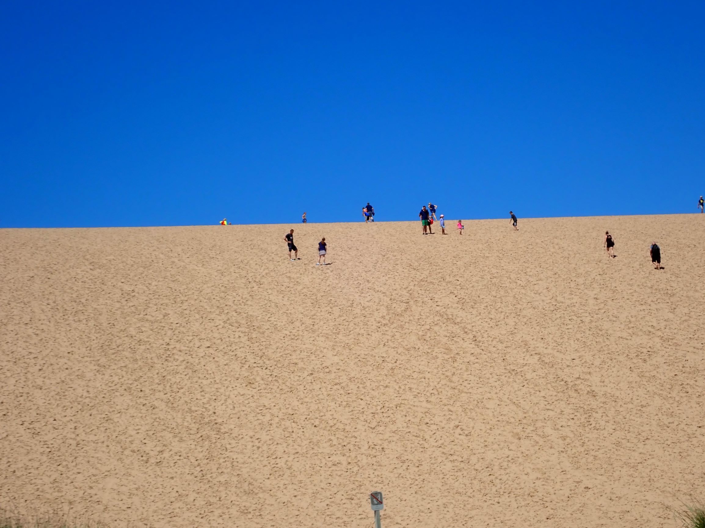 The iconic Dune Climb in Sleeping Bear Dunes National Lakeshore