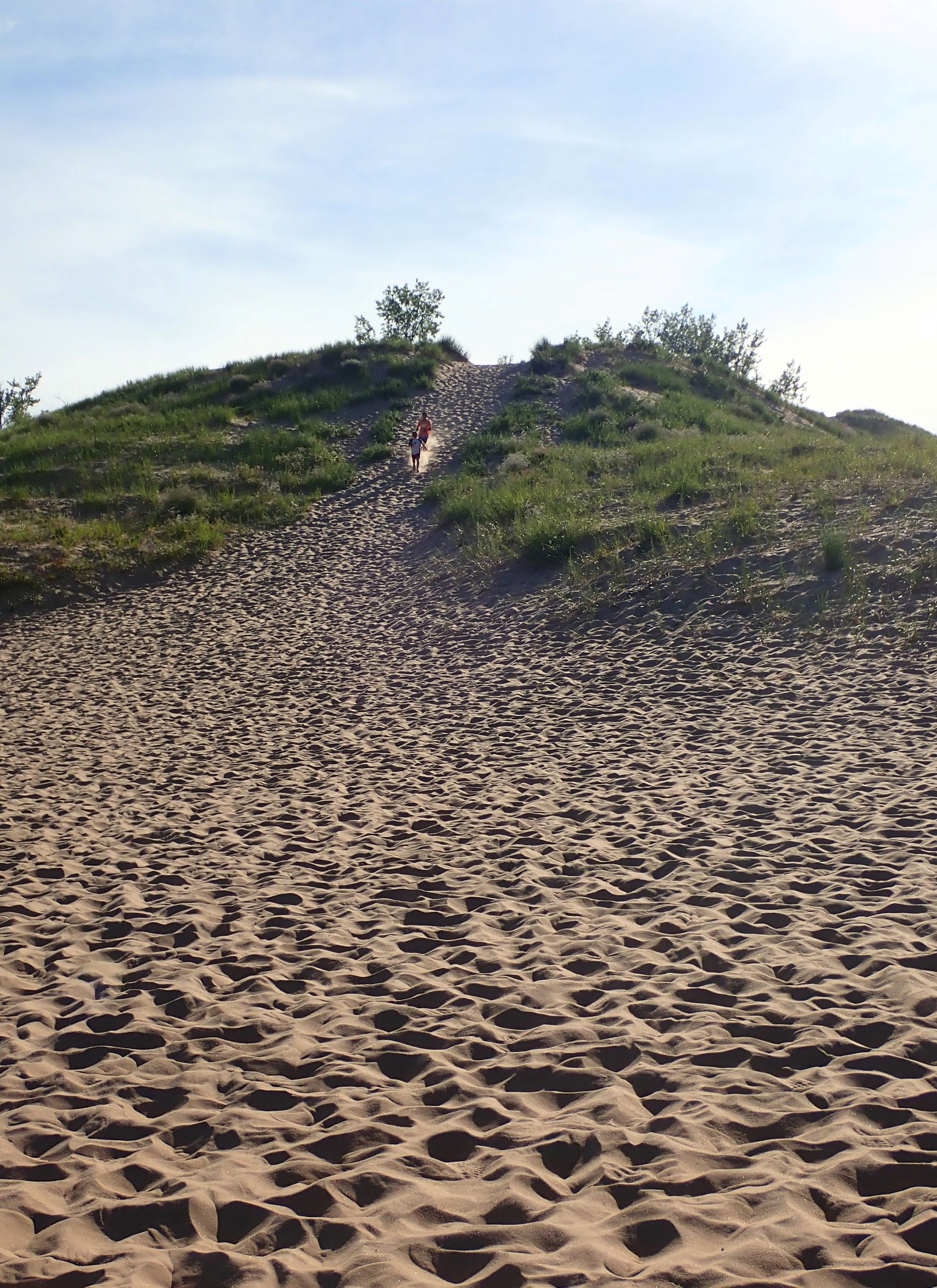 Run down the Dune Climb in sleeping Bear Dunes National Lakeshore