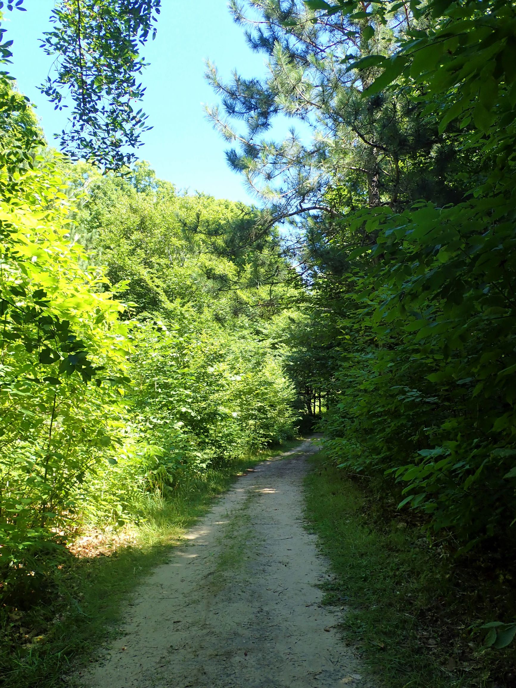 best things to do in Sleeping Bear Dunes National Lakeshore