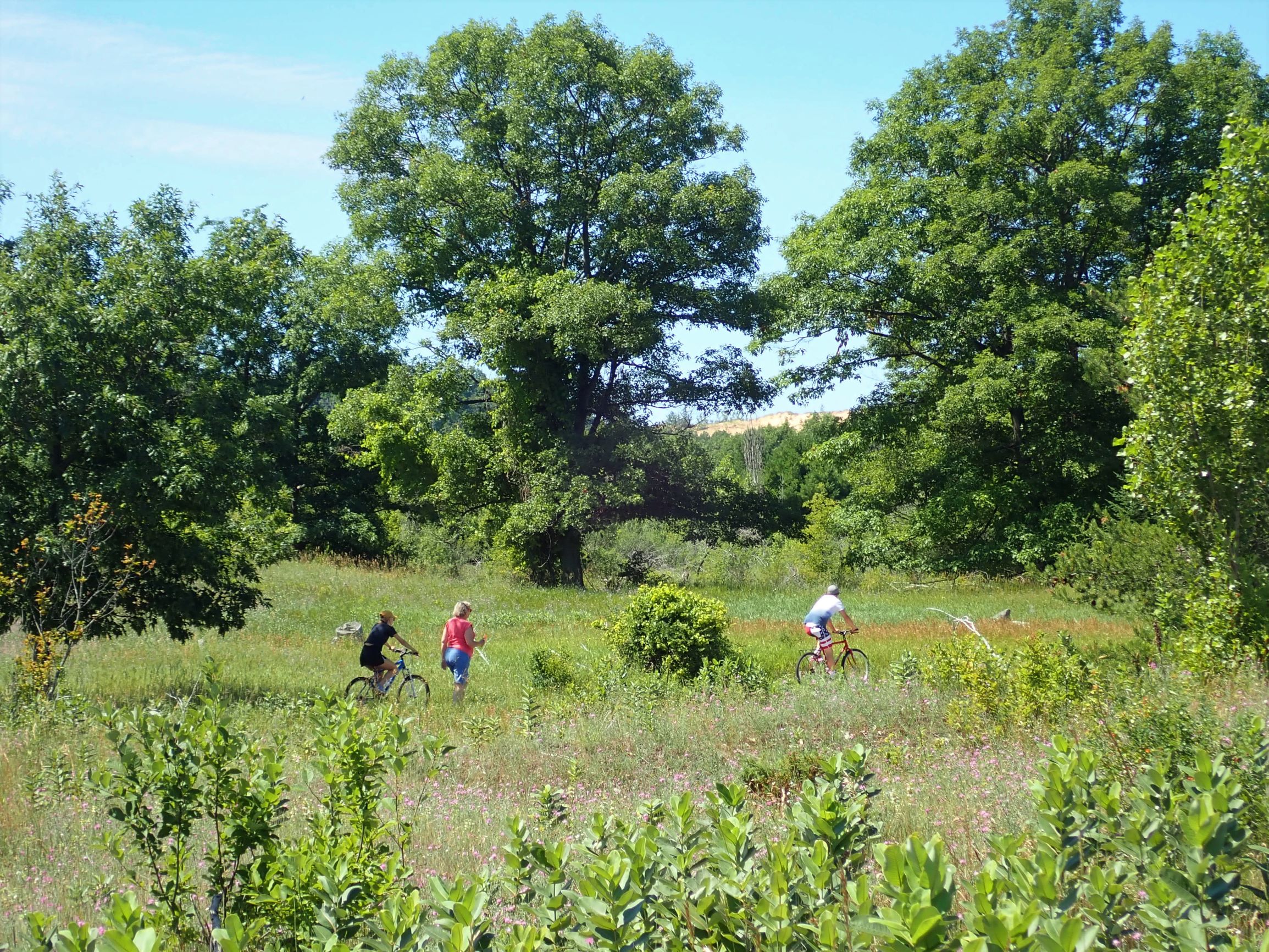 The Sleeping Bear Heritage Trail is a 20-mile bike path that is especially beautiful in the fall. 