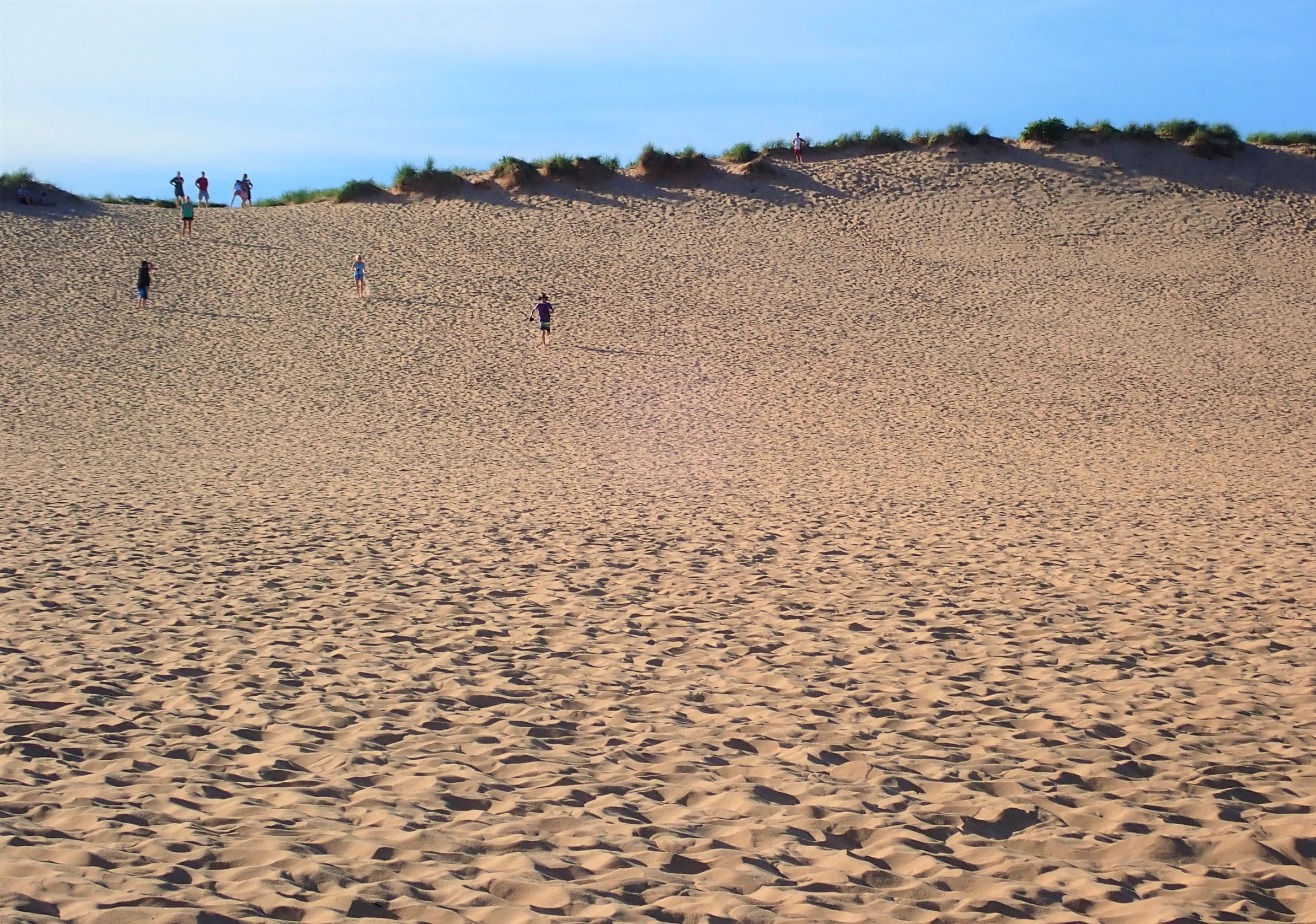 Run down the Dune Climb in Sleeping Bear Dunes National Park