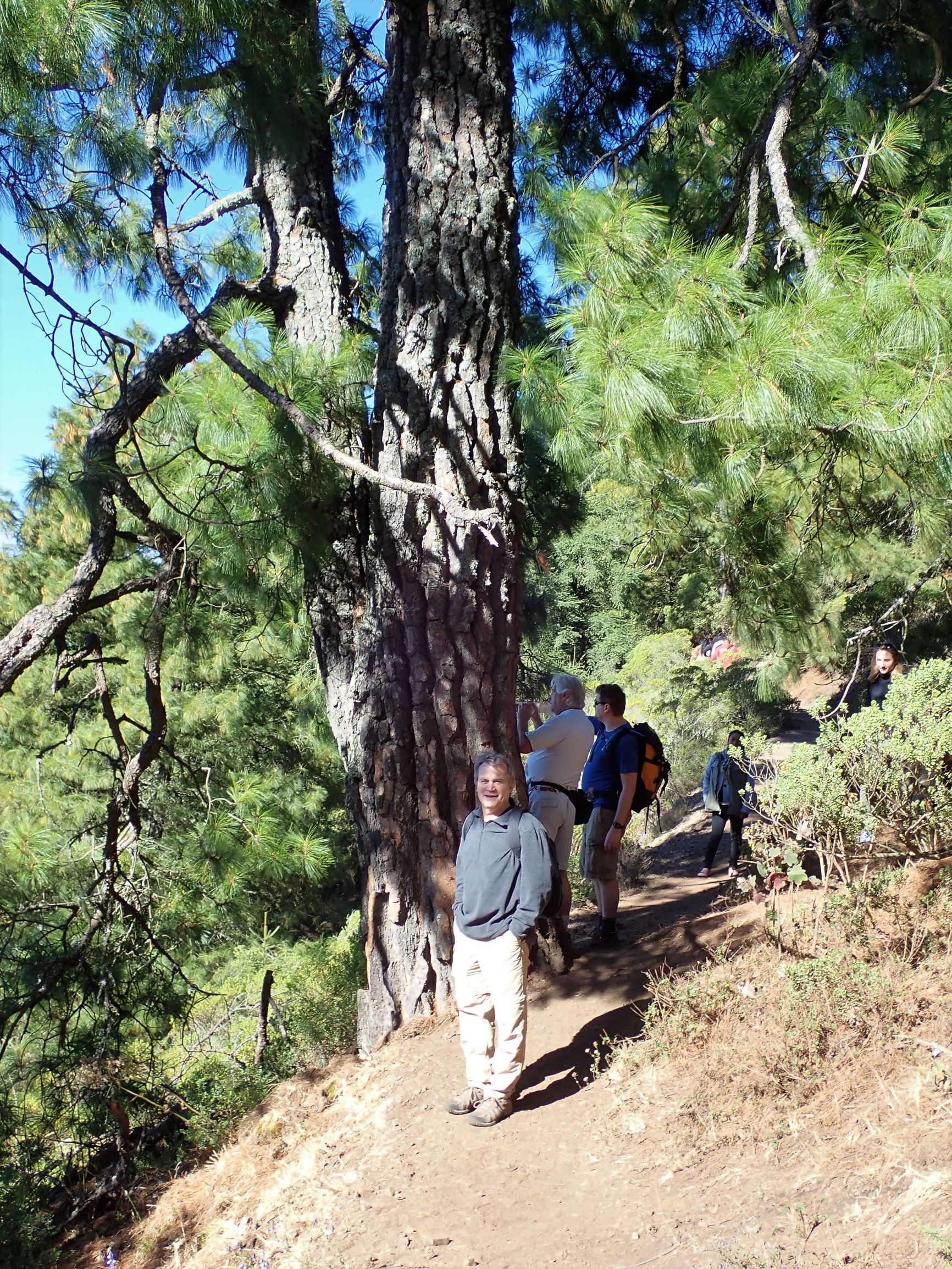 Sierra Chincua trail that leads to the roosting area of monarch butterflies