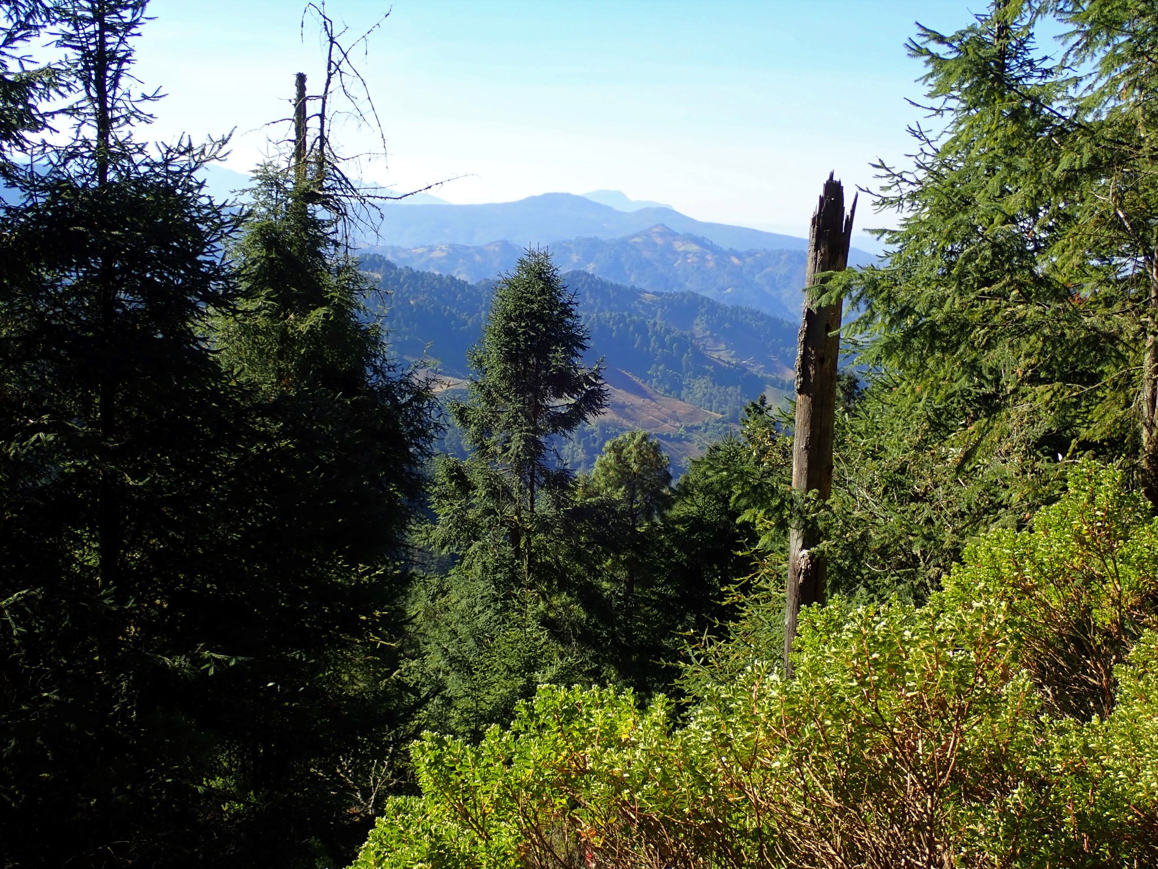 Overlook along the Sierra Chincua path leading to the Monarch butterfly sanctuary