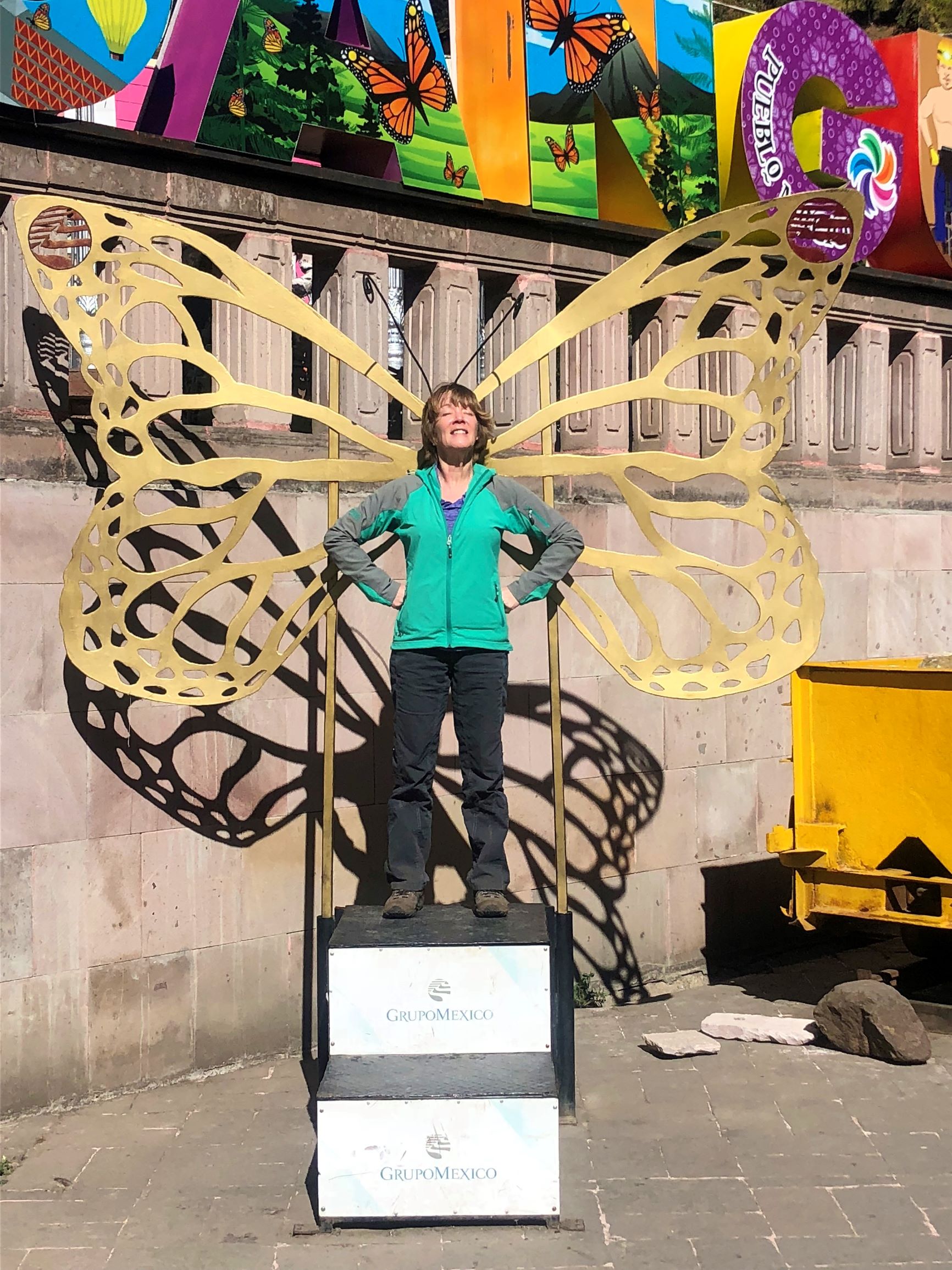 Monarch butterfly display in n Angangueo, Mexico.