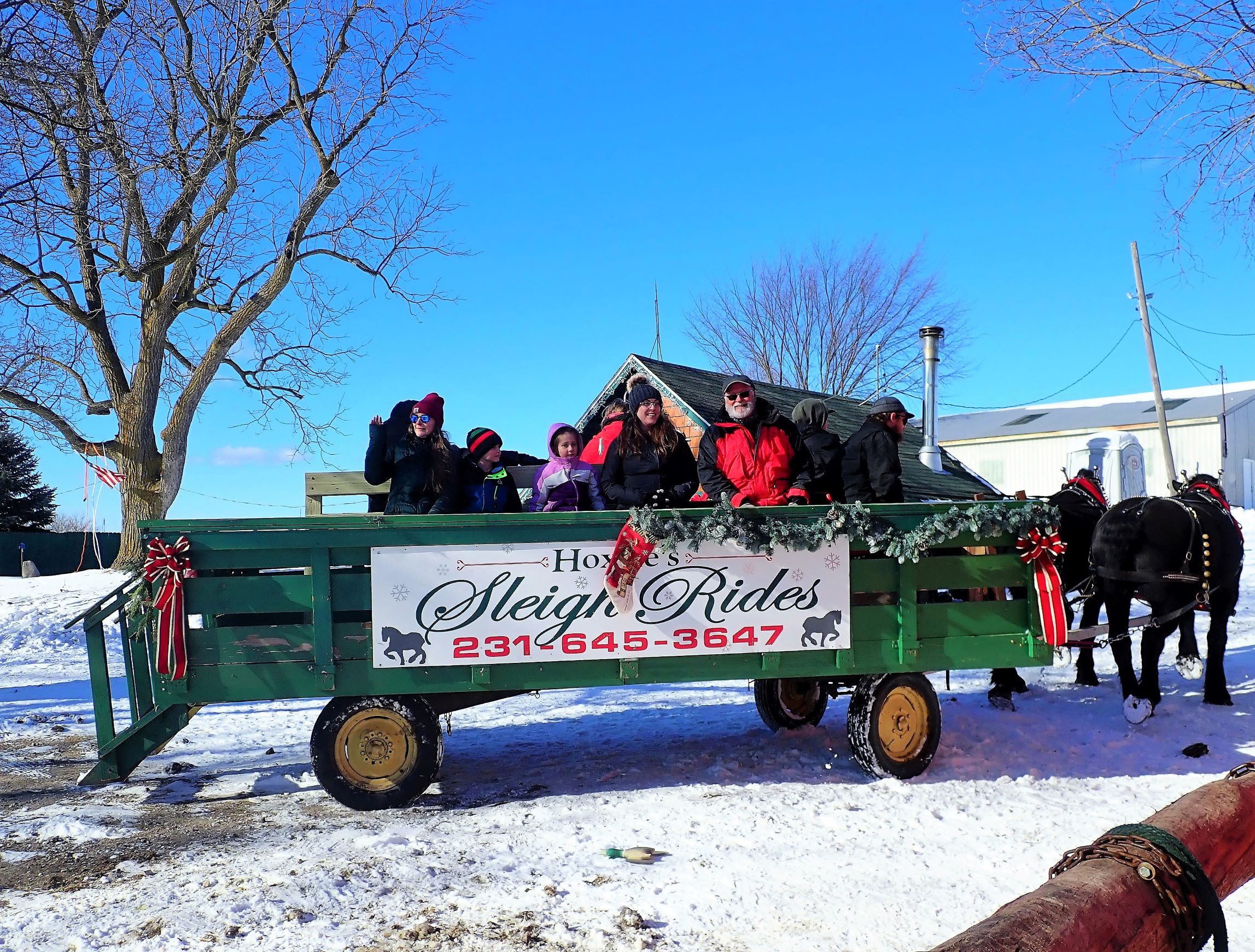 Things to do near Traverse City in winter: go on a horse drawn sleigh ride at Antler Ridge Farms!