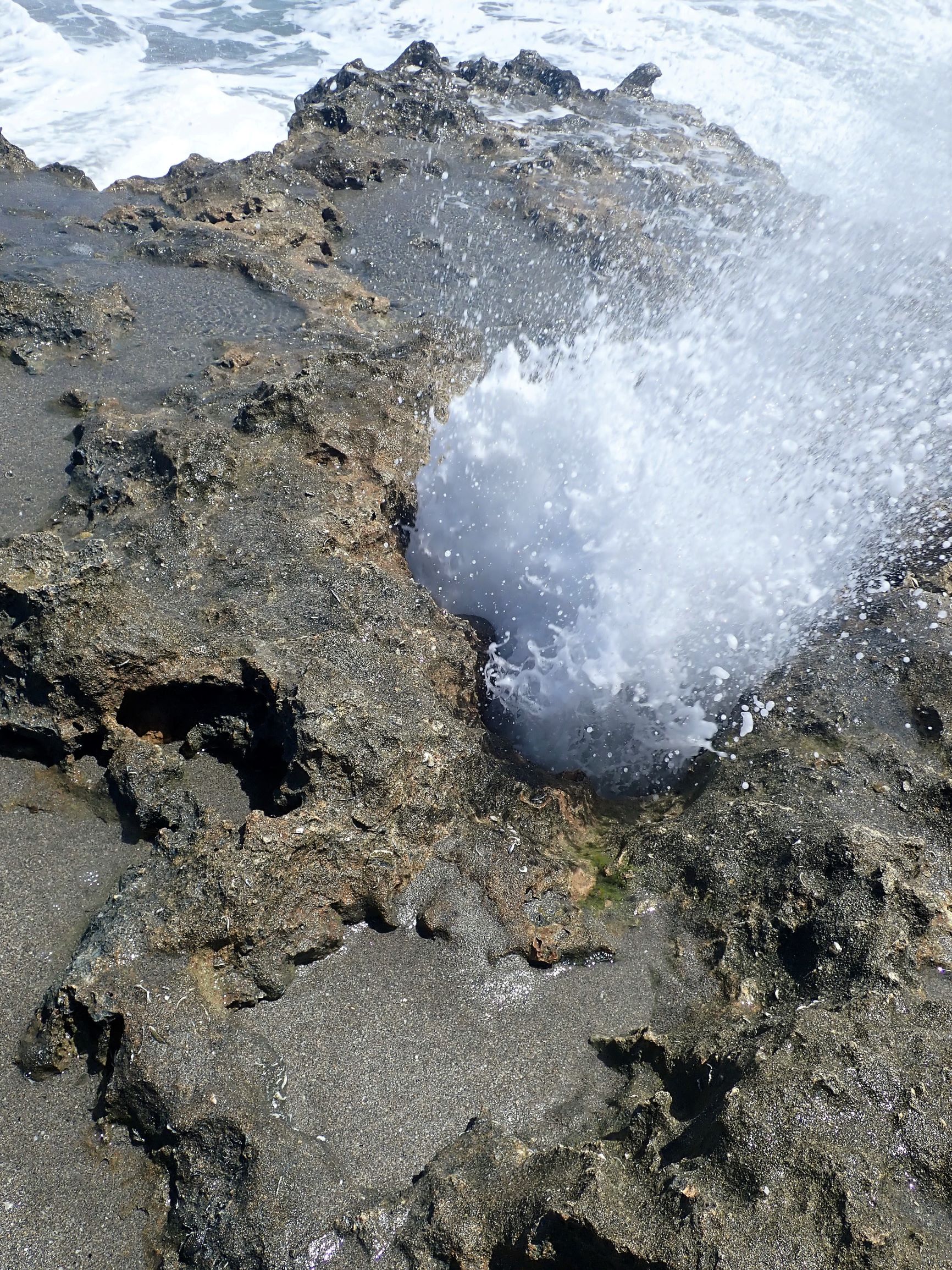 blowing-rocks-preserve-Jupiter-Florida