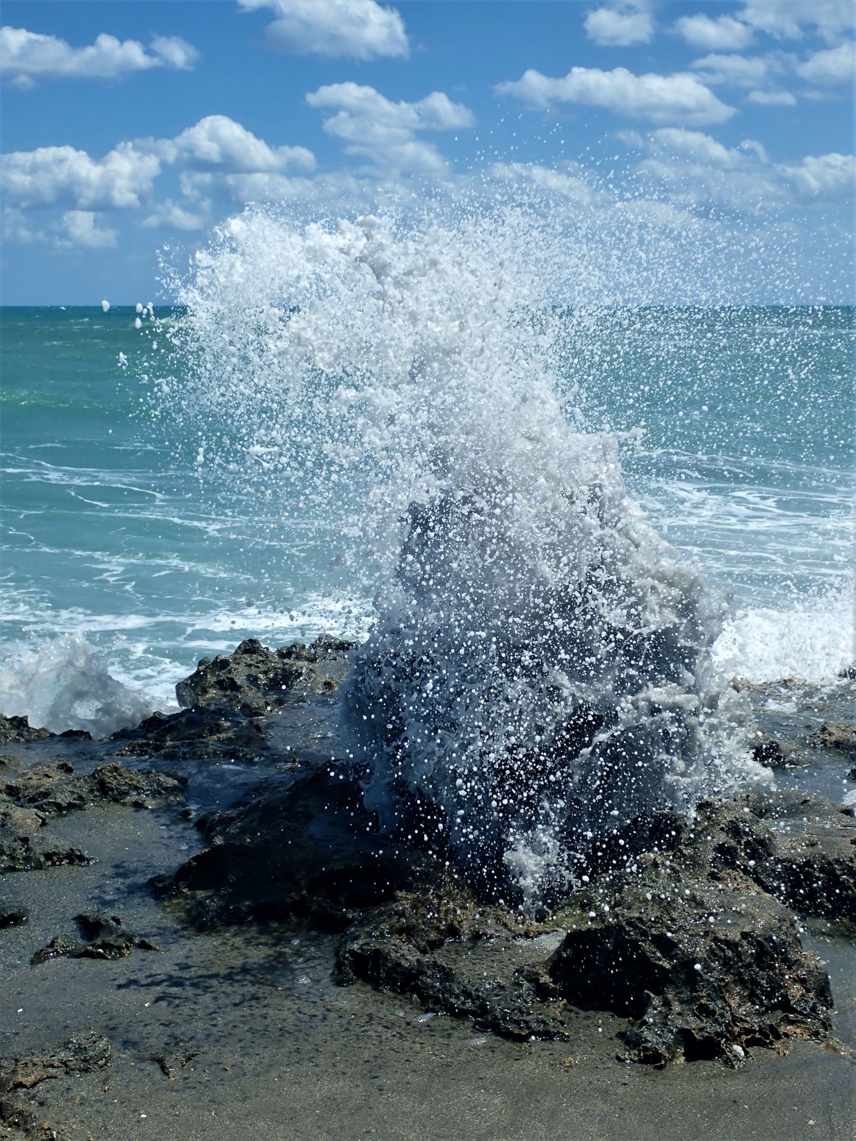 Blowing Rocks Preserve in Jupiter, Florida