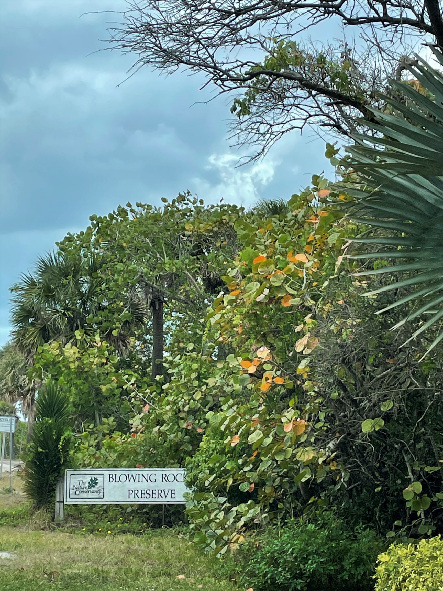 Best things to do in Jupiter, Florida: Visit Blowing Rocks Preserve