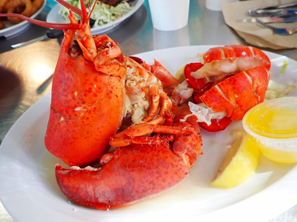 Lobster soecial on Thursday nights at Dune Dig Café in Jupiter, Florida