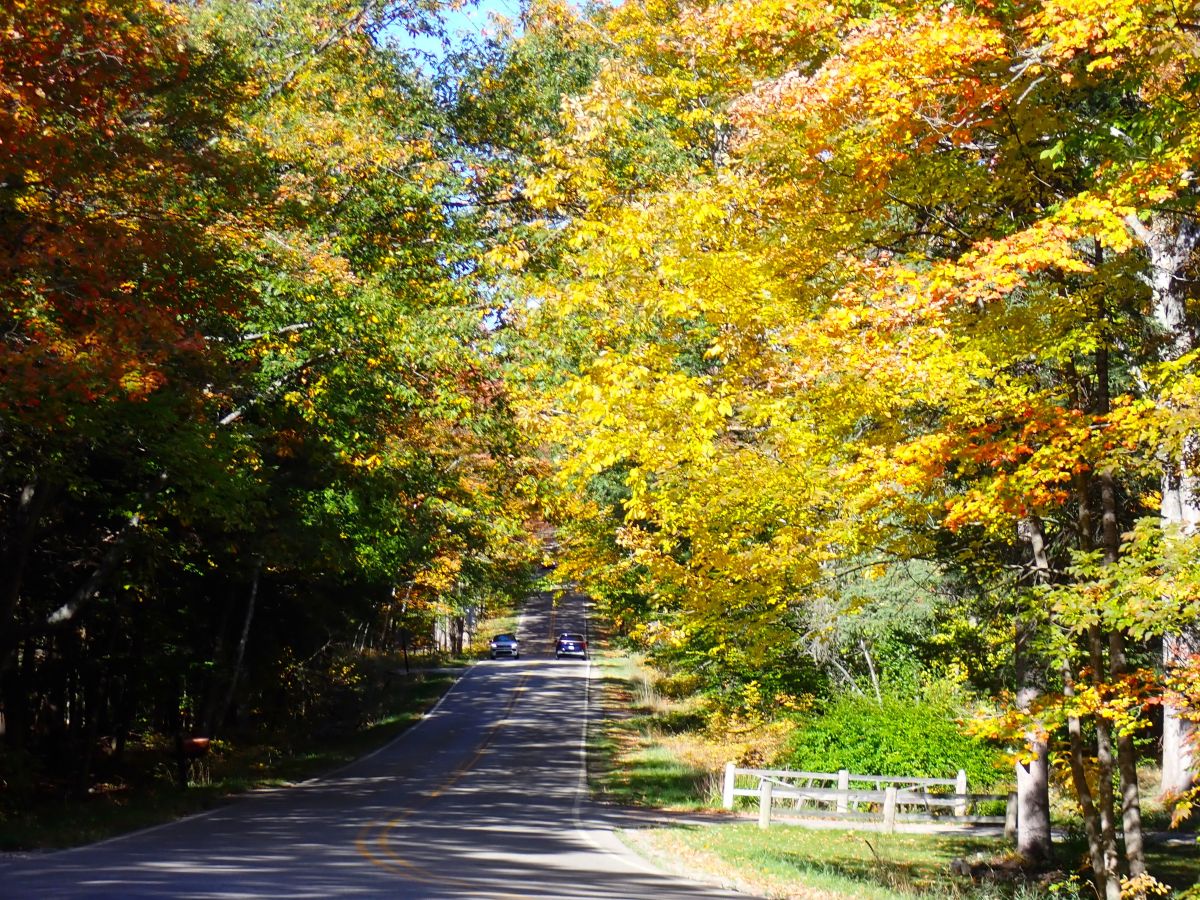 Michigan's Tunnel of Trees stretches 20 miles from Harbor Springs to Cross Village.