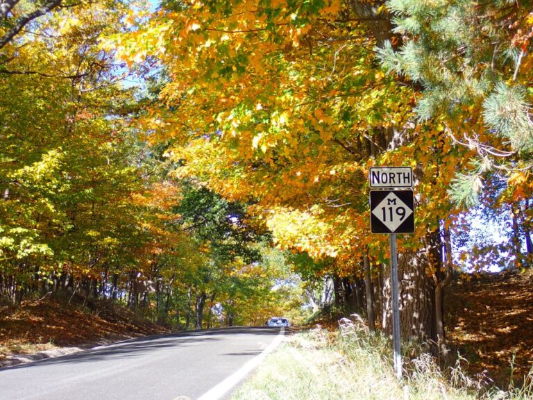 Michigan’s Spectacular Tunnel of Trees In 2026