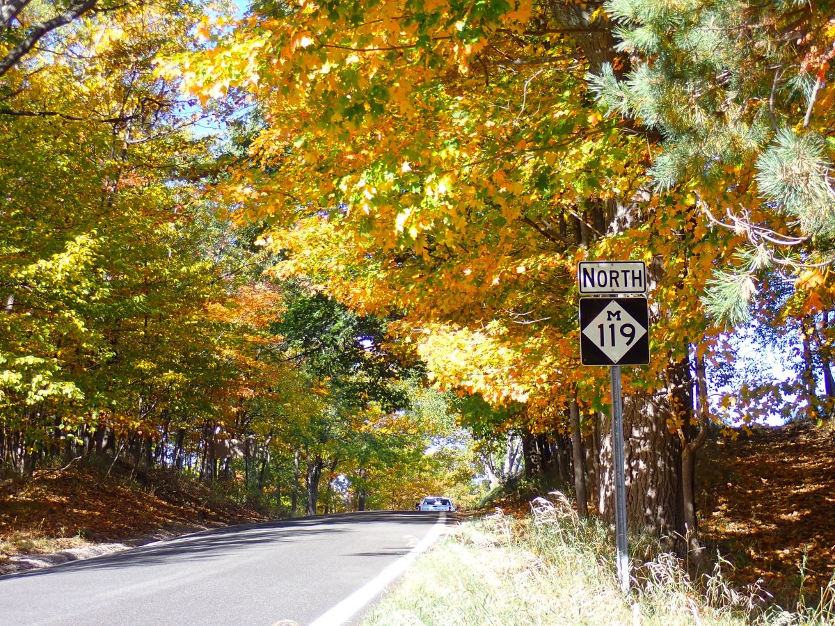 Touring the iconic Tunnel of Trees is a great way to see fall colors in Northern Michigan