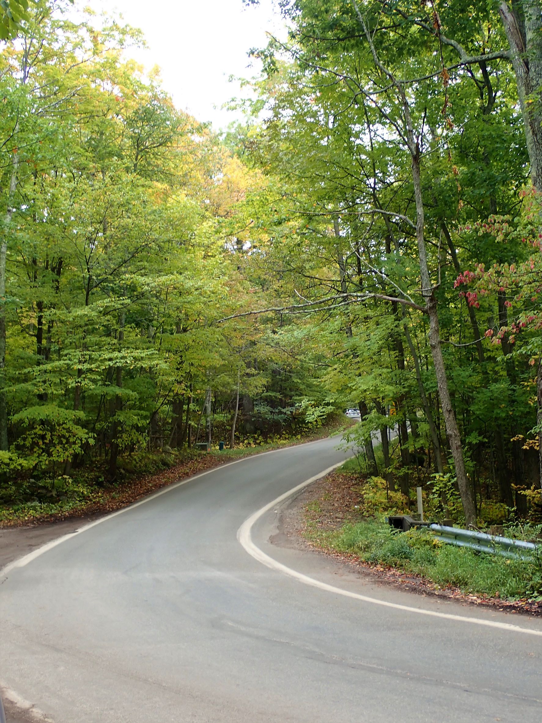 Devil's Elbow is a hairpin turn about eleven miles into the Tunnel of Trees scenic route