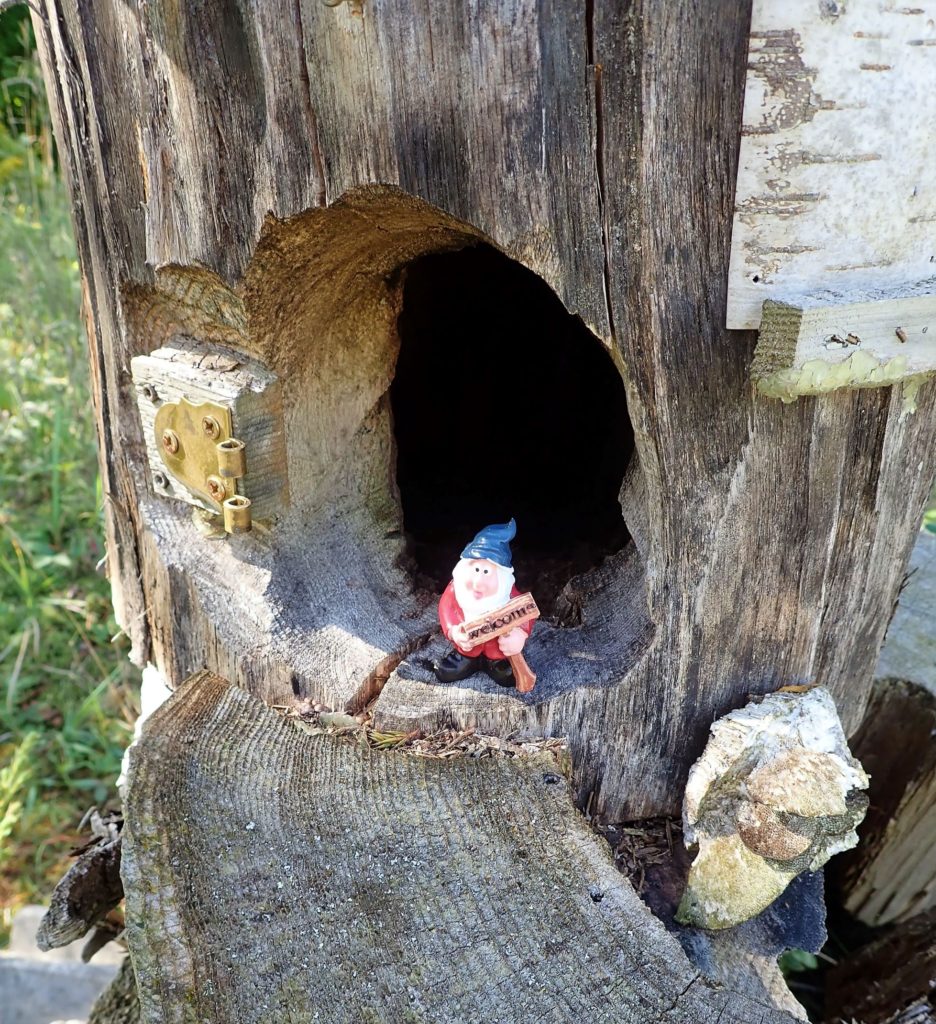 Pond Hill Farm's trail of hidden gnomes