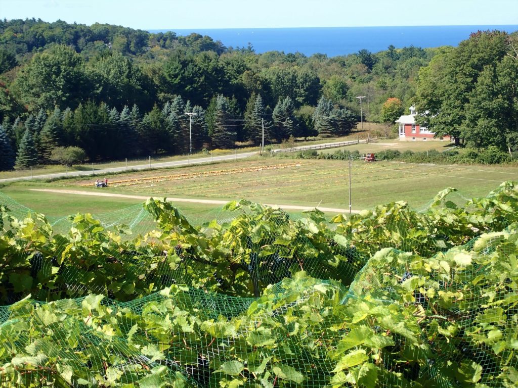 The view from Pond Hill Farm