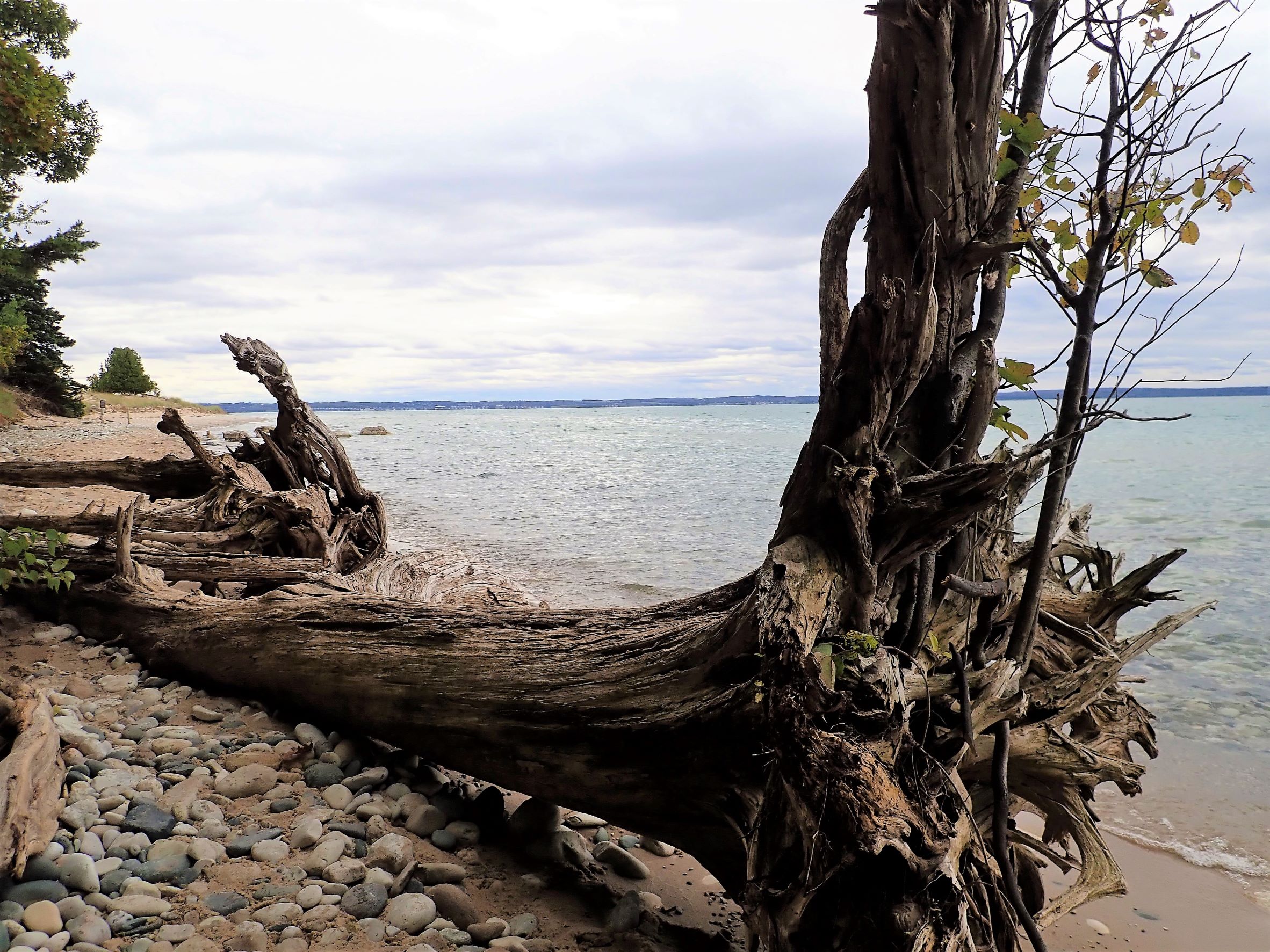 Thorne Swift Nature Preserve is one of the first stops along the scenic tunnel of Trees