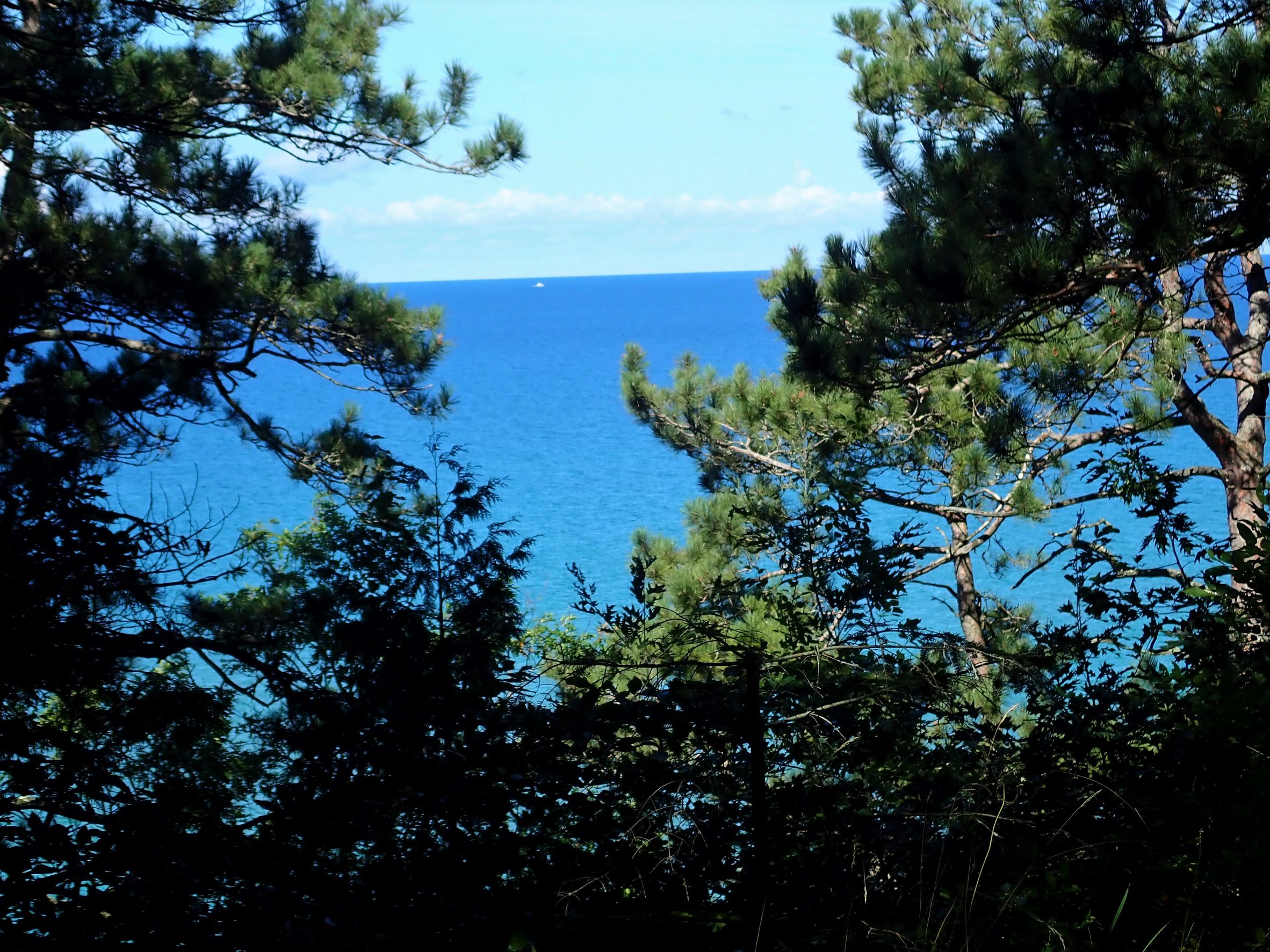 Northern Michigan's Tunnel Of Trees