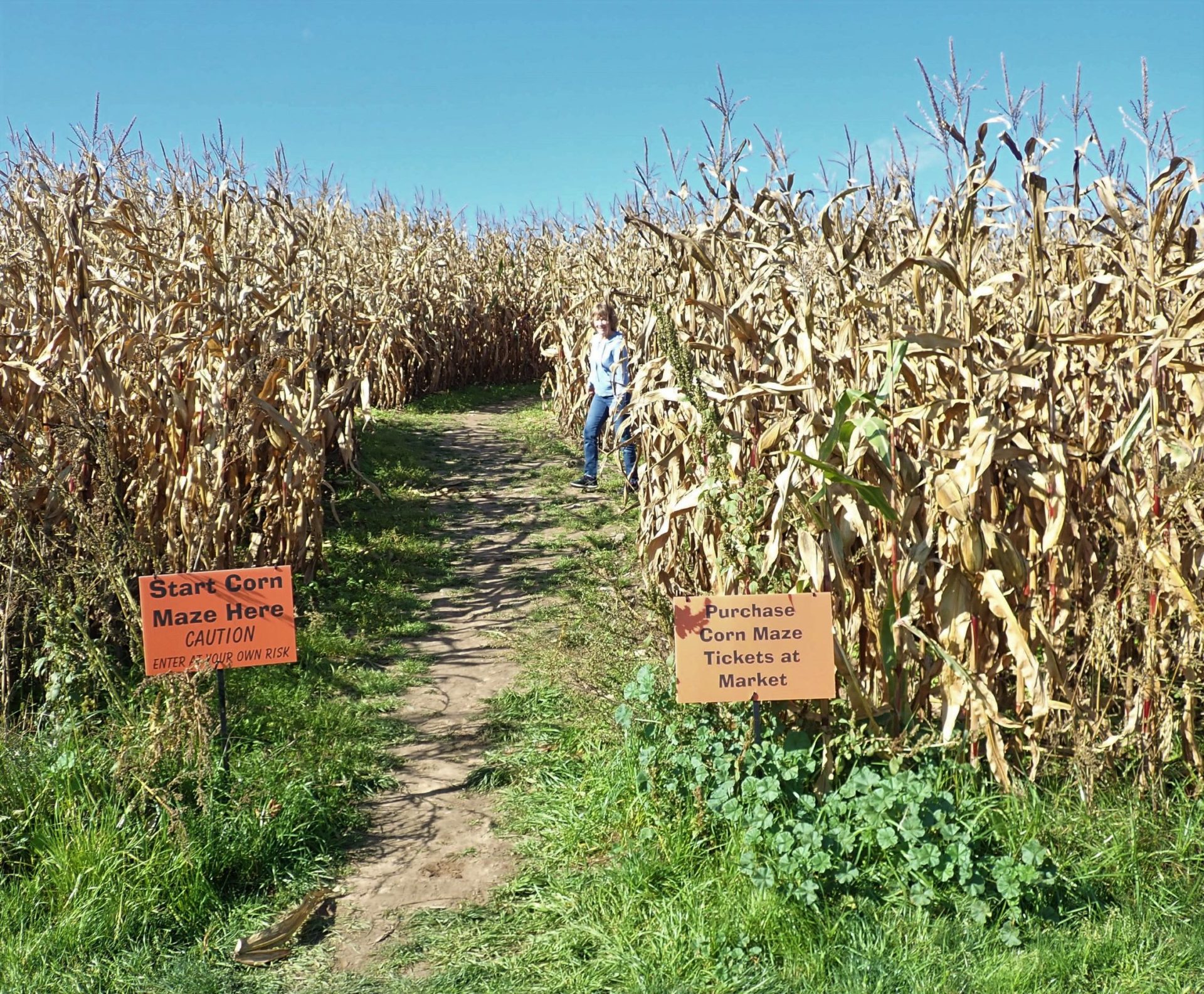 Get lost in the corn maze at Royal Farms Farm Market