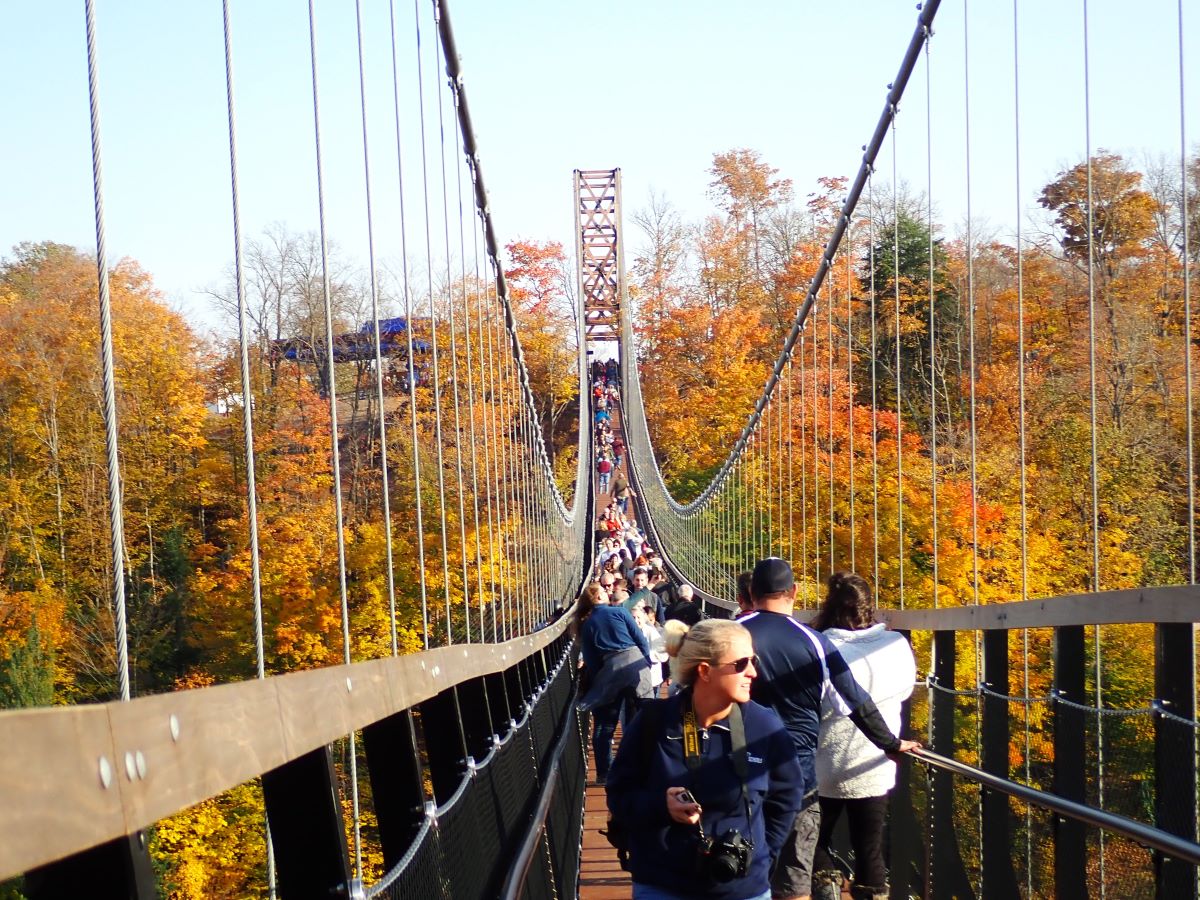 Venturing out on the Skybridge Michigan