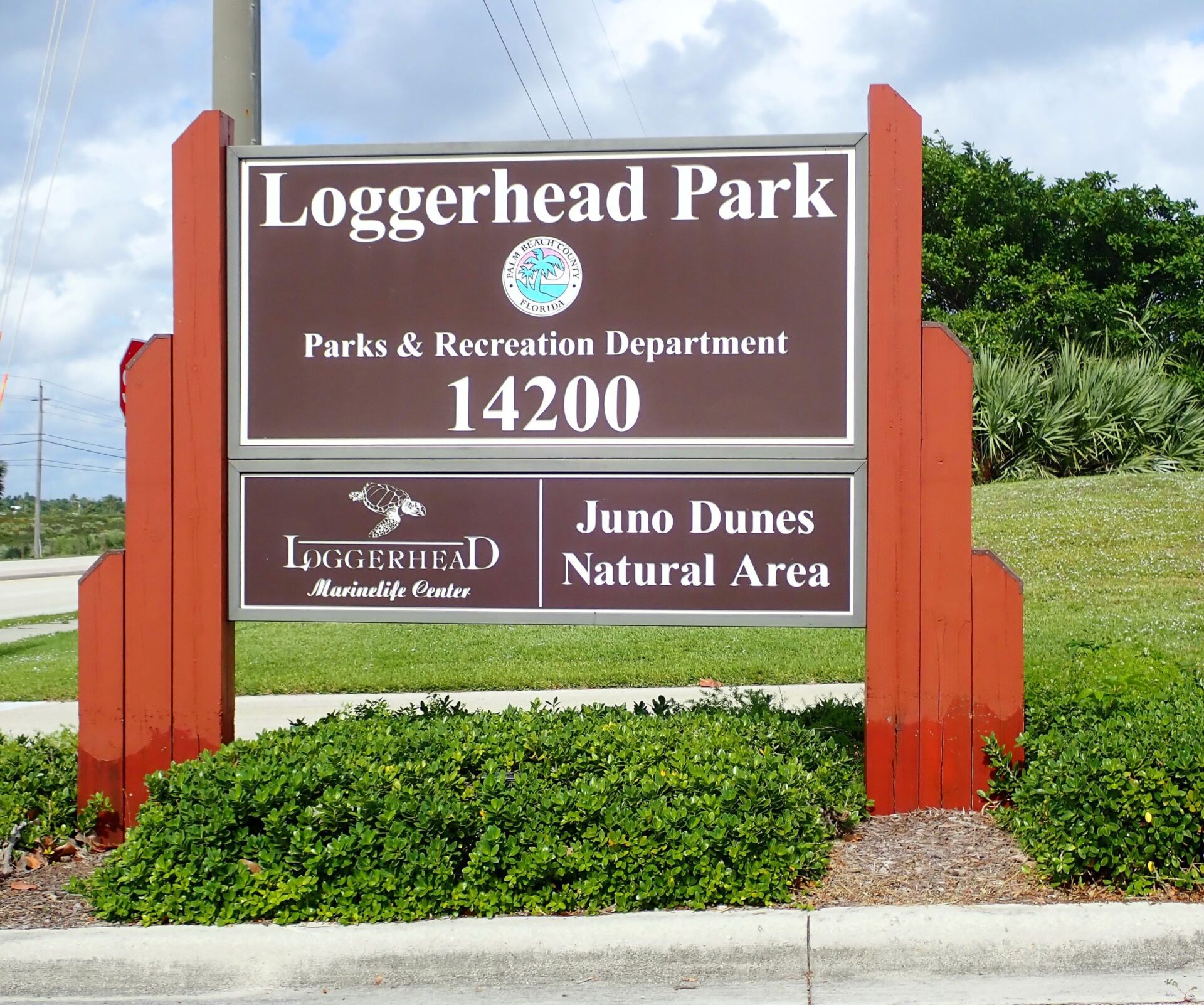 Best things to do in Jupiter, Florida: Visit the Loggerhead Marinelife Center