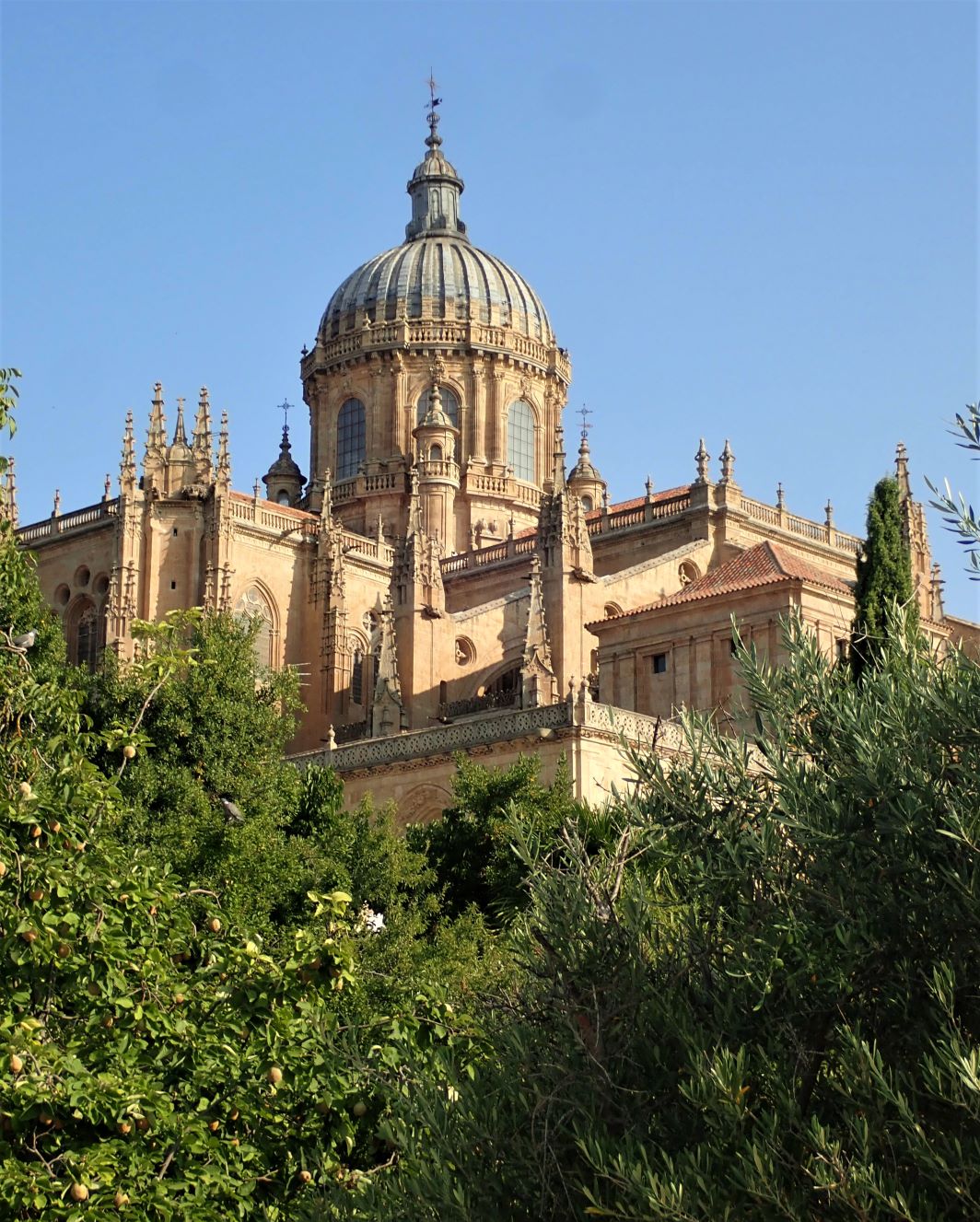 Best things to see in Salamanca, Spain: The New Cathedral