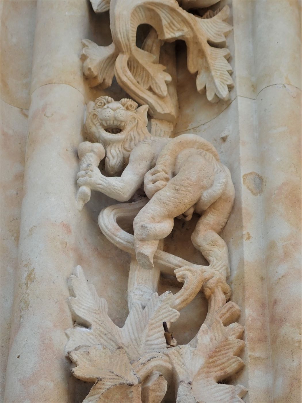 Look for the famous dragon eating an ice cream cone on the façade of Salamanca's New Cathedral