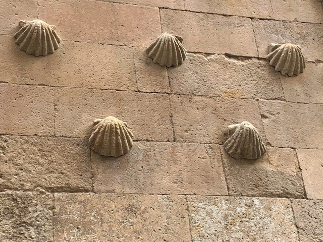 Scallop shells adorn the Casa de las Conchas in Salamanca, Spain