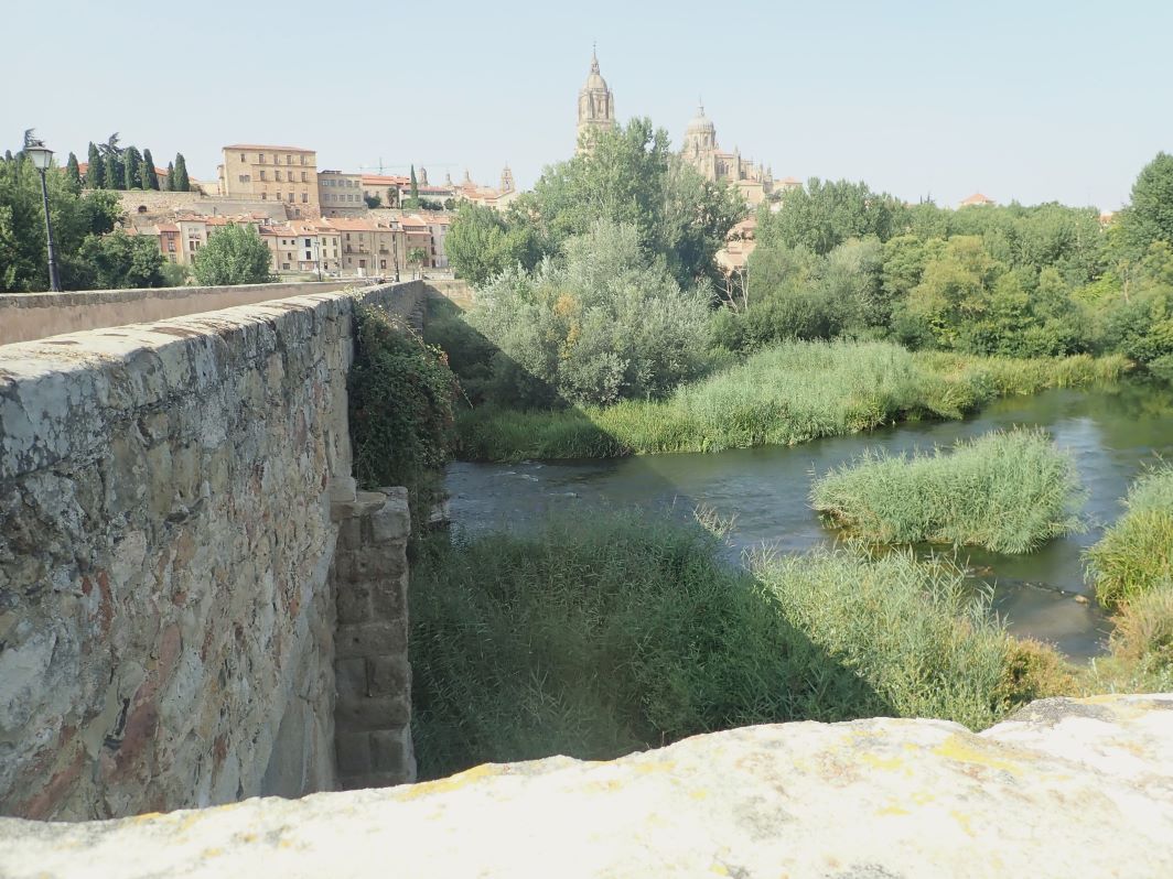 View of the River Tormes in Salamanca, Spain