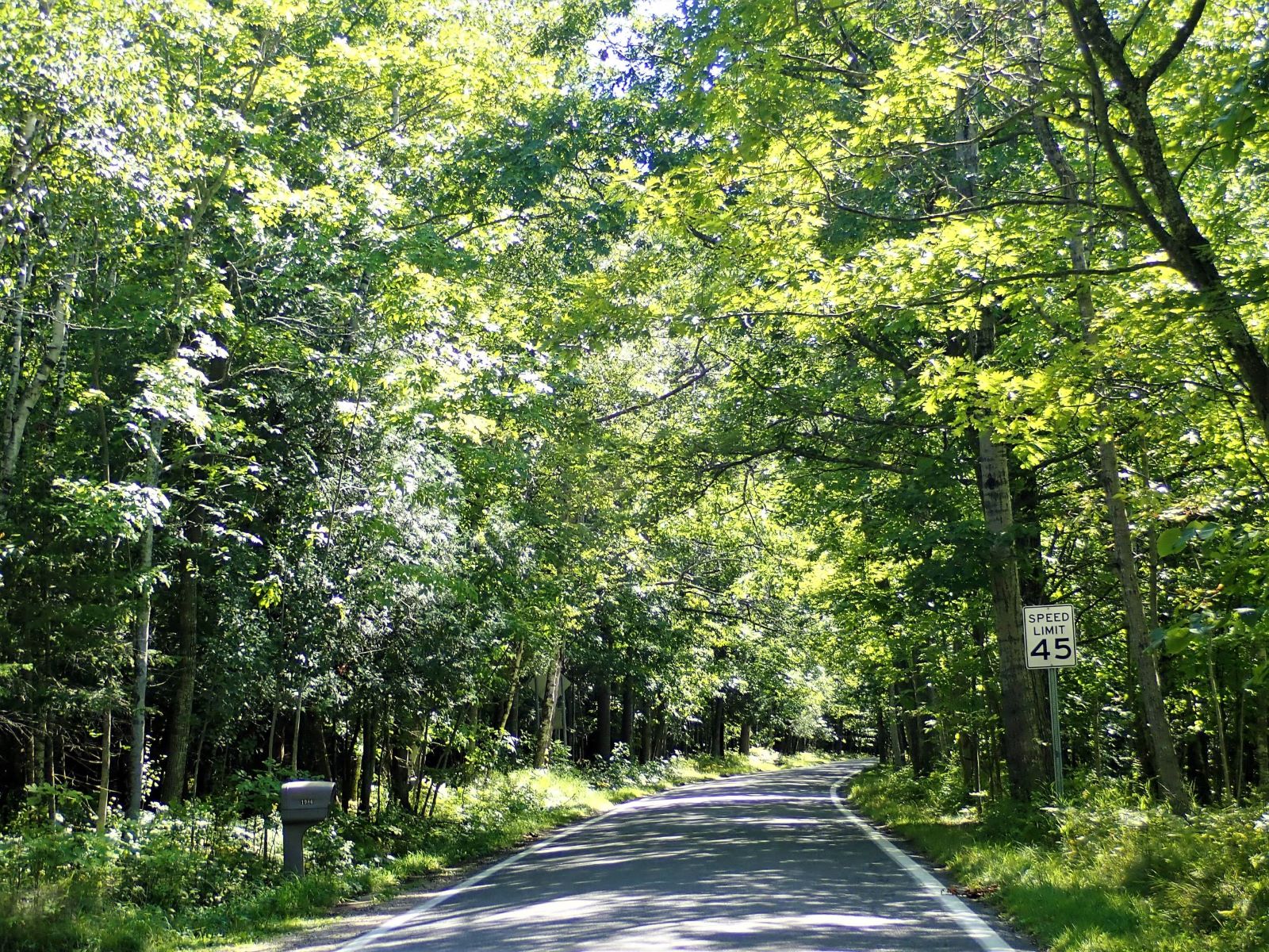 View of northern Michigan's Tunnel of Trees