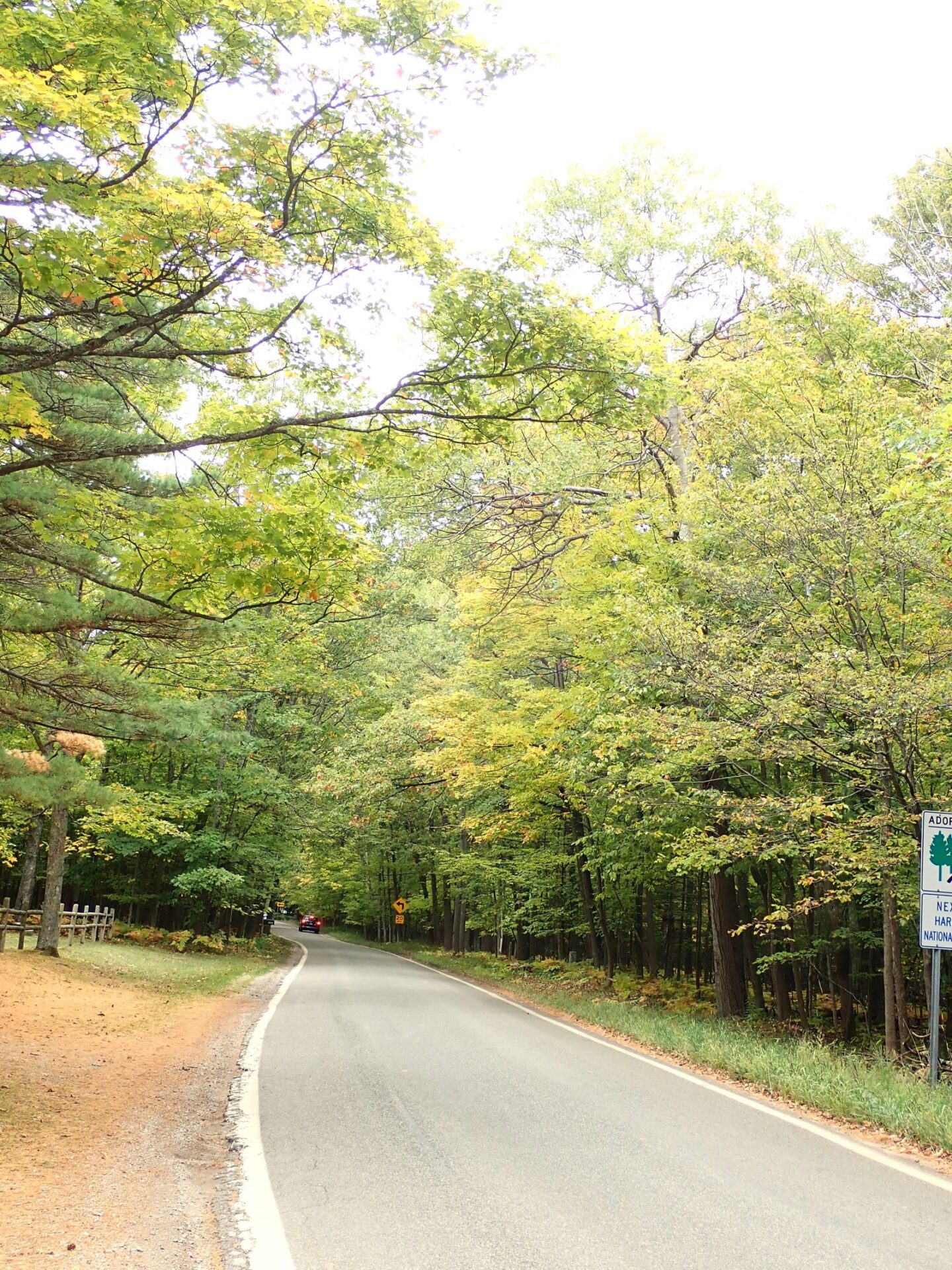 Michigan's Scenic Tunnel of Trees