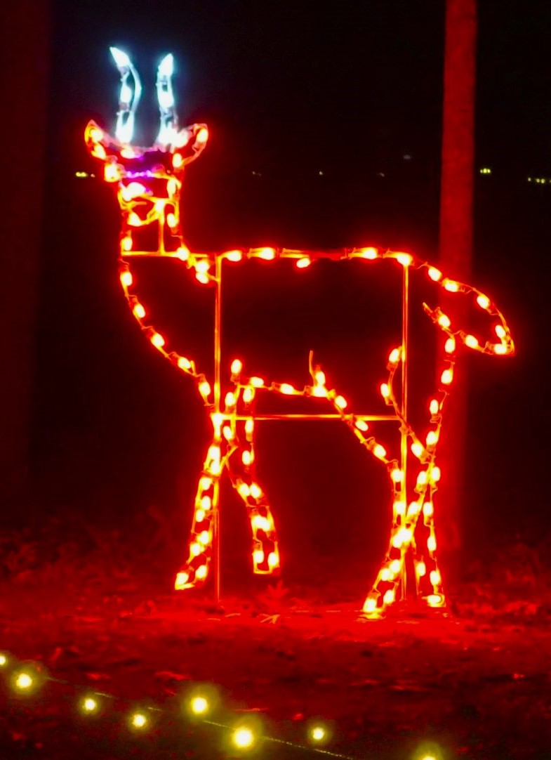 Lights Gone Wild deer disply