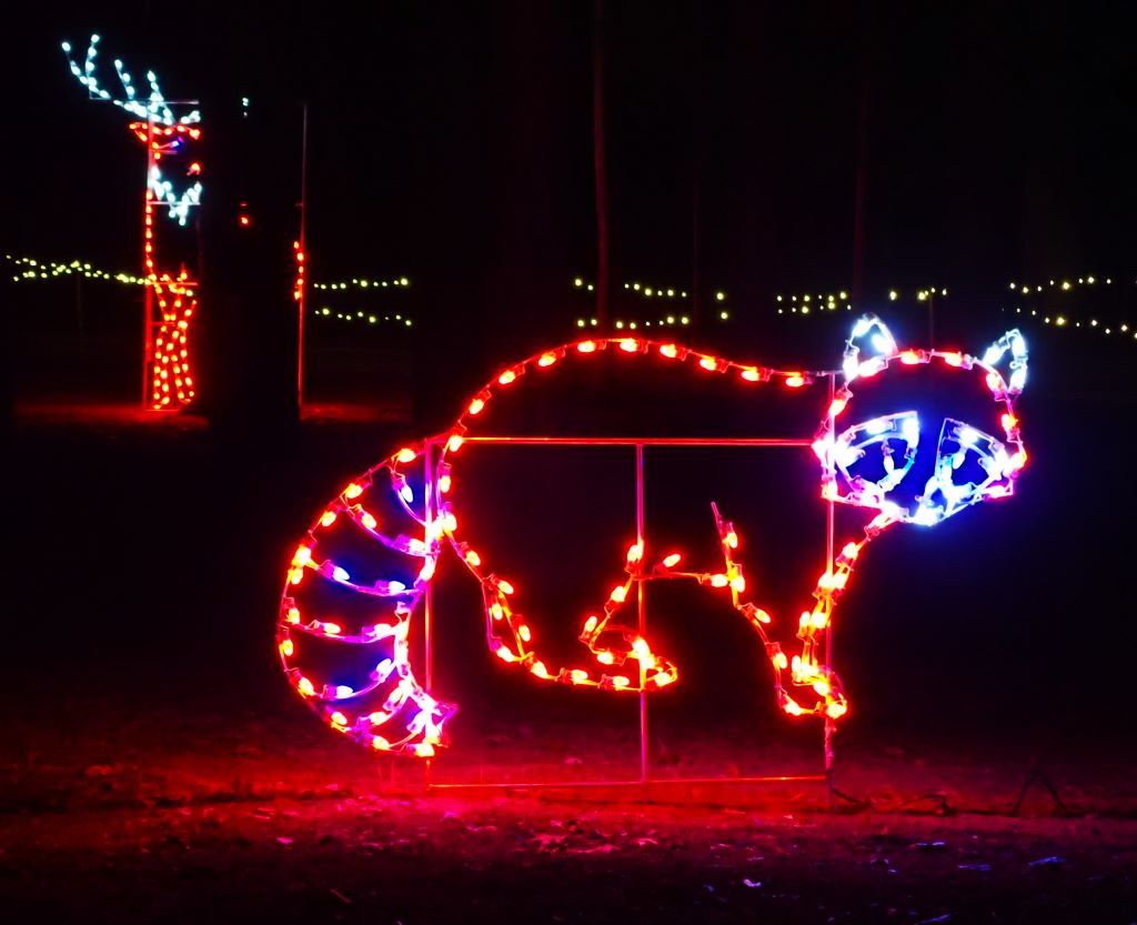 Raccoon figure  figure in Traverse City's Lights Gone Wild  Christmas display