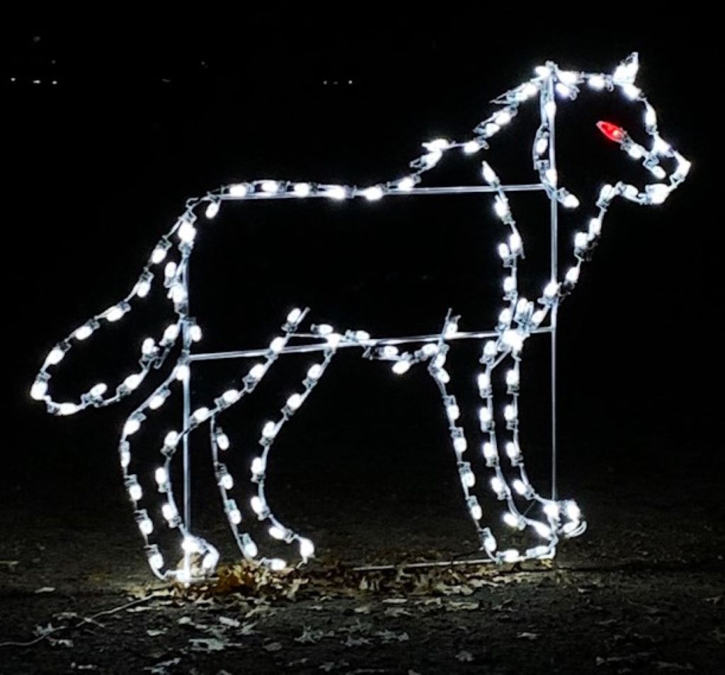 Wolf figure  figure in Traverse City's Lights Gone Wild  Christmas display