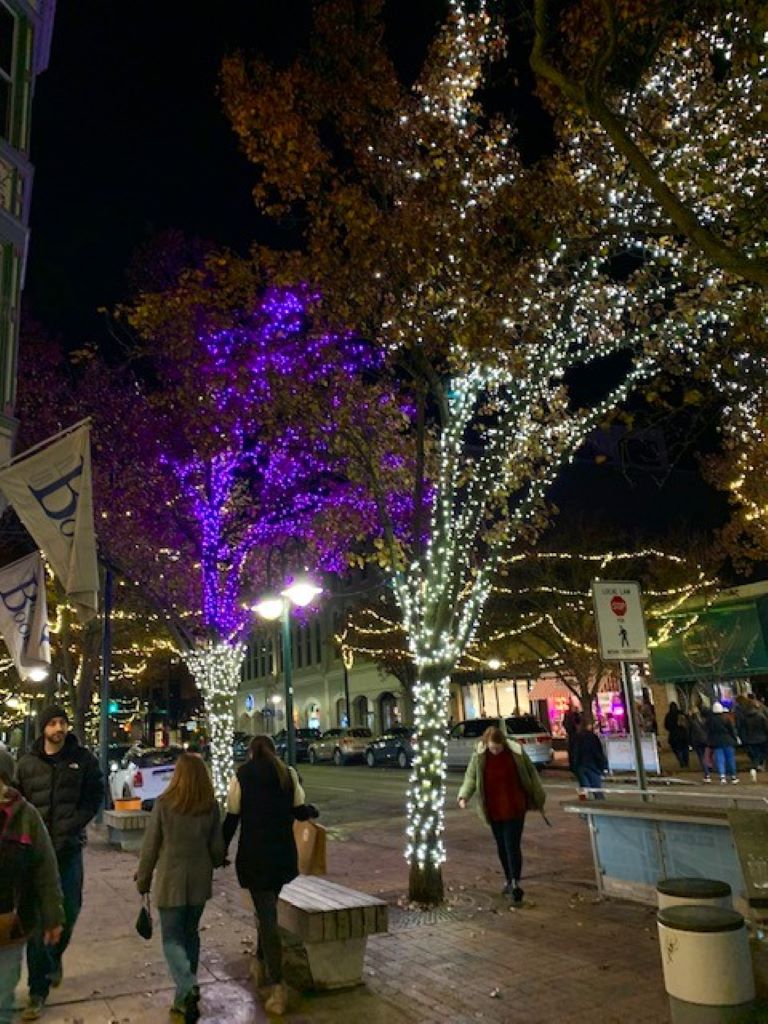 The streets of Traverse City, Michigan, lit up for Christmas