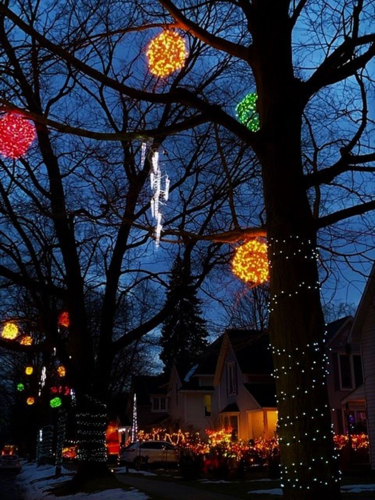 Christmas lights sparkle along Spruce Street in Traverse City, Michigan