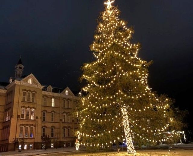 Be sure to check out the magnificent Christmas tree at the Village commons in Traverse city, Michigan