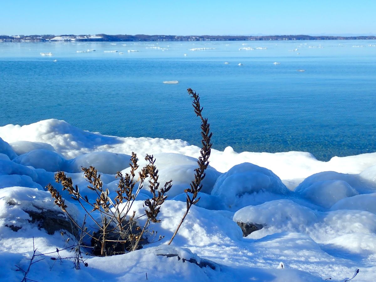 Grand Traverse Bay in January