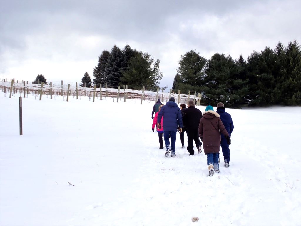 Winter walk through the vineyards during the  Old mission Snowshoe Wine and Brew event