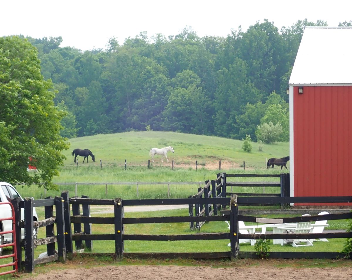 Horse pastures at the Black Star Farms Winery in Suttons Bay, Michigan