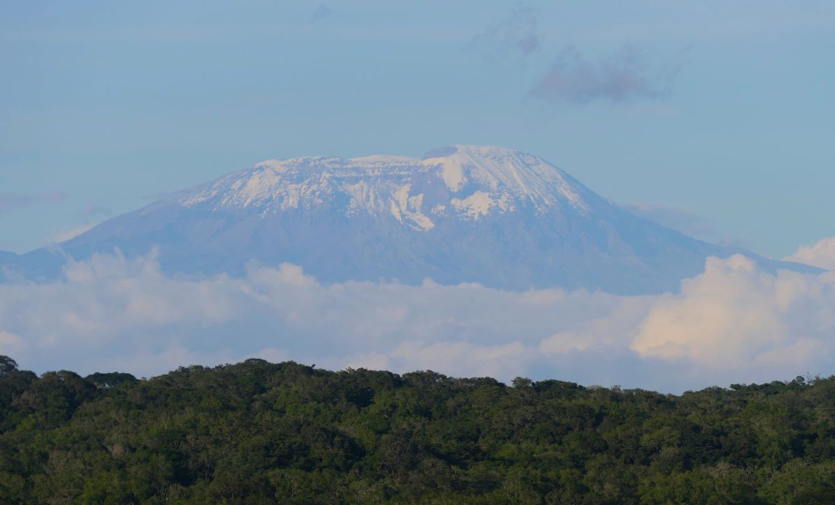 View of snow-capped Mount Kilimanjaro