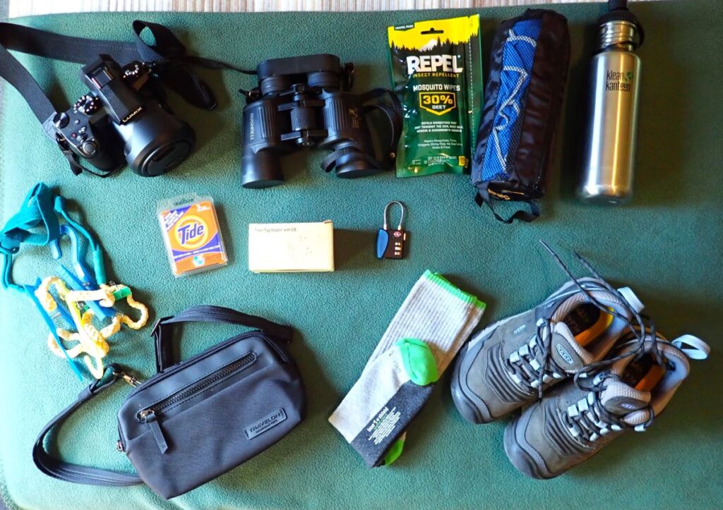 Essential gear for an African safari includes a good DSL camera, binoculars, insect repellent and hiking shoes