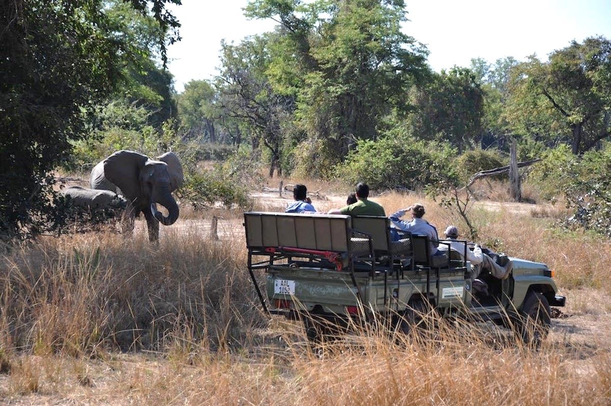 Viewing elephants from a safari jeep in South Luangwa National Park