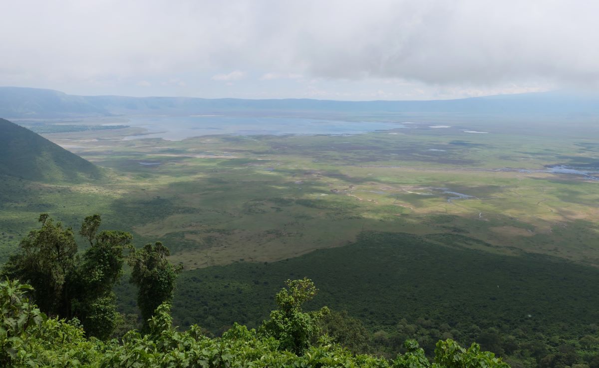 View from the Rim of the Ngorongoro Crater