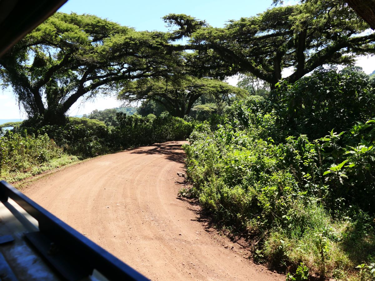 The road along the rim of the Ngorongoro Crater