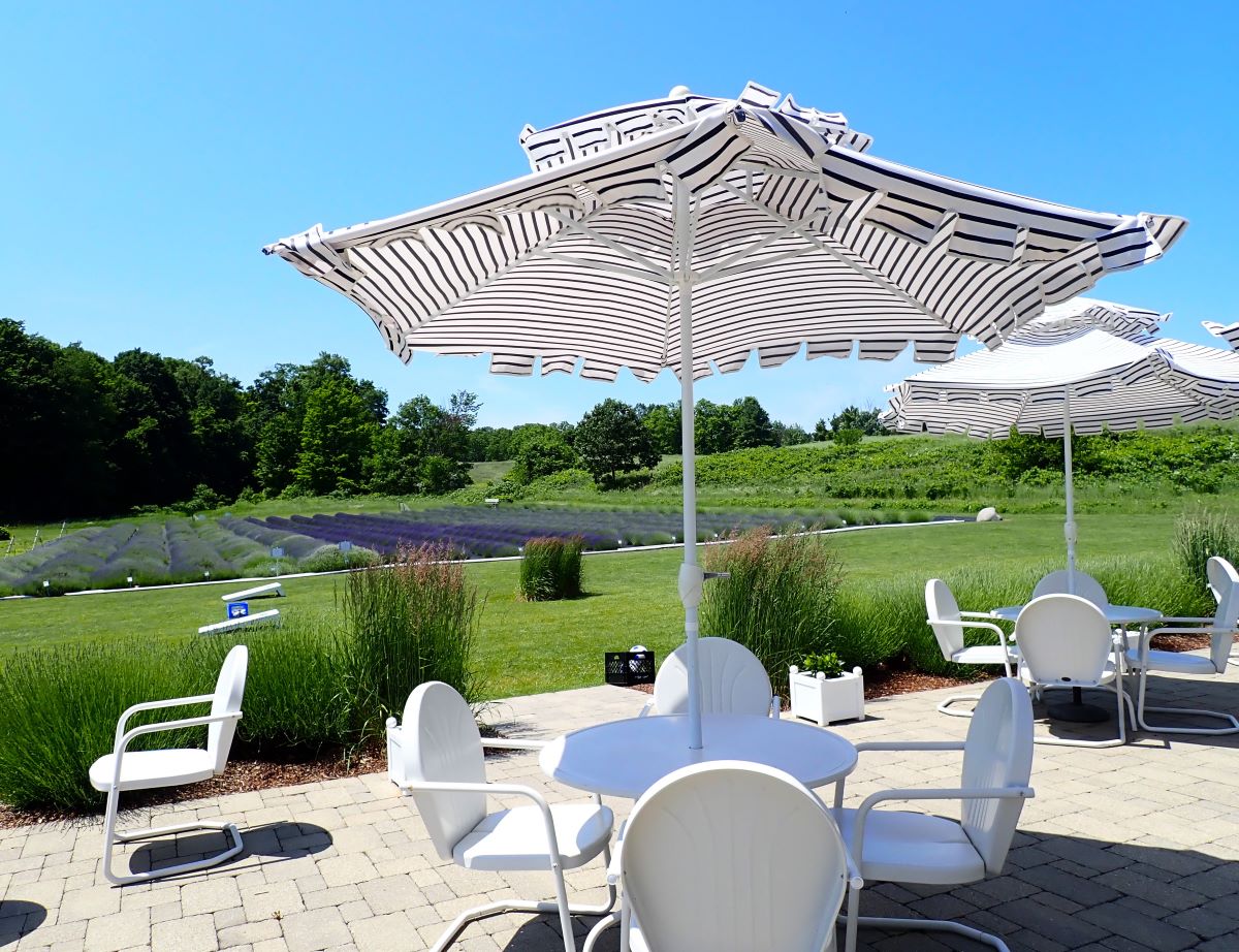 Enjoy the lavender gardens from the patio at Brys Estate Vineyards and Winery
