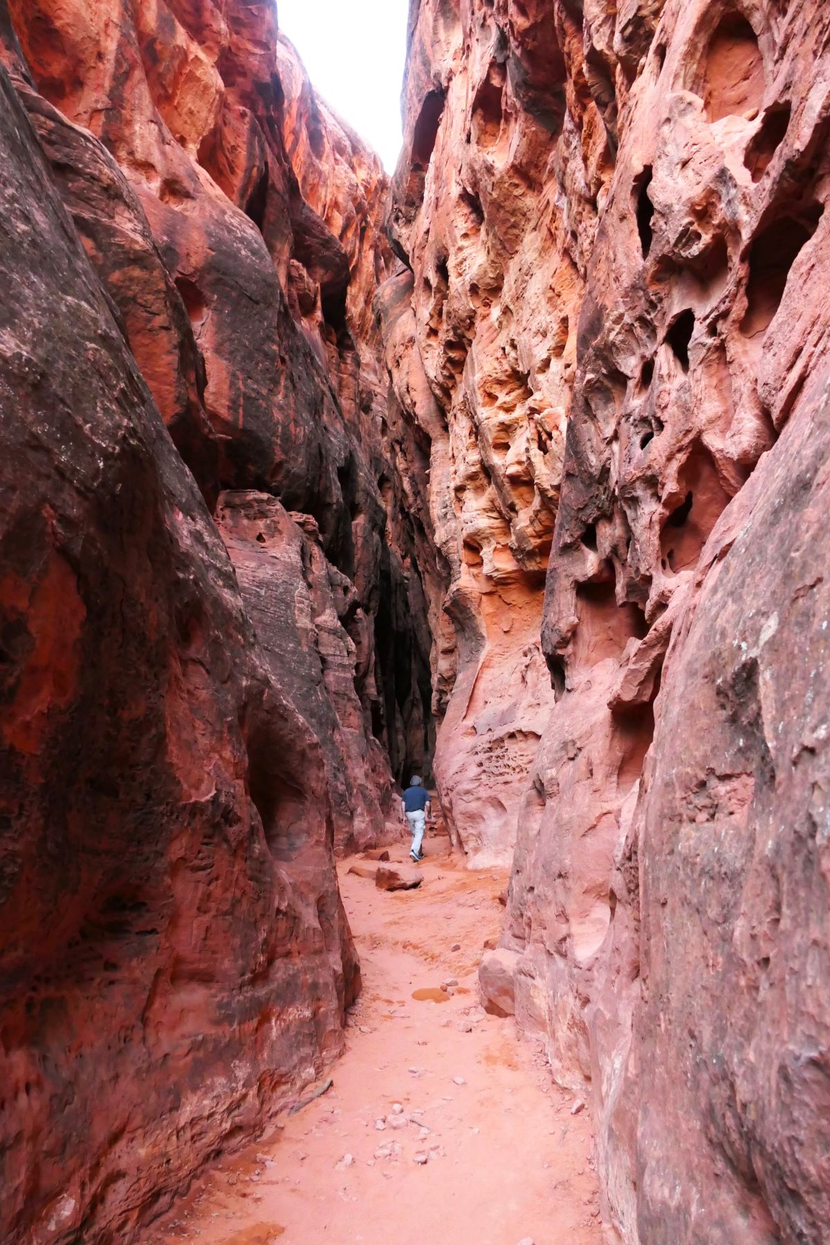 Jenny's Canyon Trail ends in an easily accessible slot canyon.