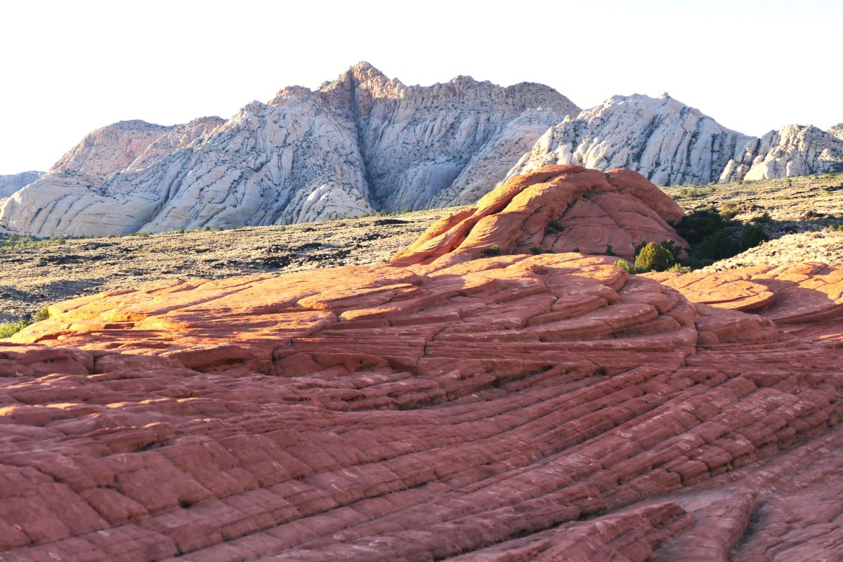 Petrified sand dunes in Snow Canyon State Park