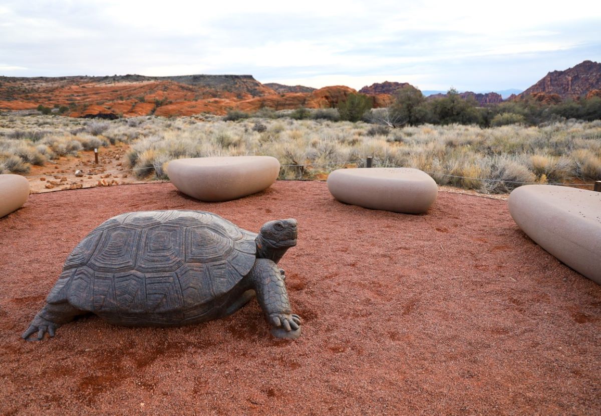 Tortoise statue photo from hikestgeorge.com